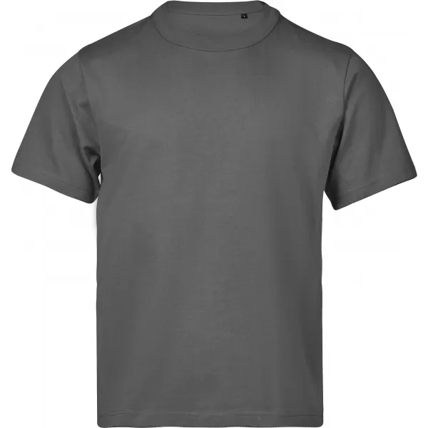  Muška majica kratkih rukava TEE JAYS | TJ 1160 PUDER SIVA 