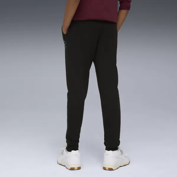  Tracksuits PUMA CLASS SWEATPANTS TR B 68885301 PUMA CRNA 