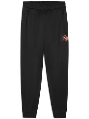 Tracksuits PUMA ACTIVE SPORTS GRAPHIC POLY PANTS B 52769301 PUMA CRNA