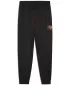 Tracksuits PUMA ACTIVE SPORTS GRAPHIC POLY PANTS B 52769301 PUMA CRNA