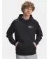 Muški sweatshirt UNDER ARMOUR UA RIVAL FLEECE HBR LOGO HD 6003955-001 CRNA