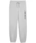 Muške trenirke PUMA M GRAPHIC FRENCH TERRY JOGGER 52770304 SVIJETLOSIVI VRIJESAK