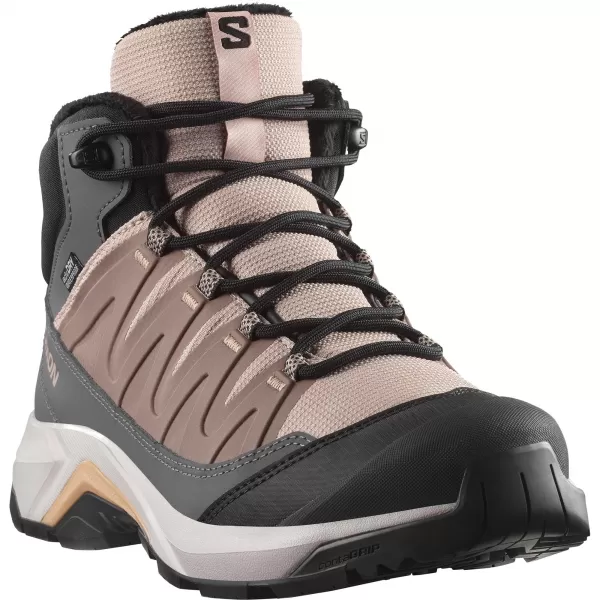  Ženske cipele SALOMON X-ADVENTURE COLDRUSH WATERPROOF W ETHEREA/ŽELJEZO/MAHAGONI RUŽA 