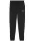 Tracksuits PUMA CLASS SWEATPANTS TR B 68885301 PUMA CRNA