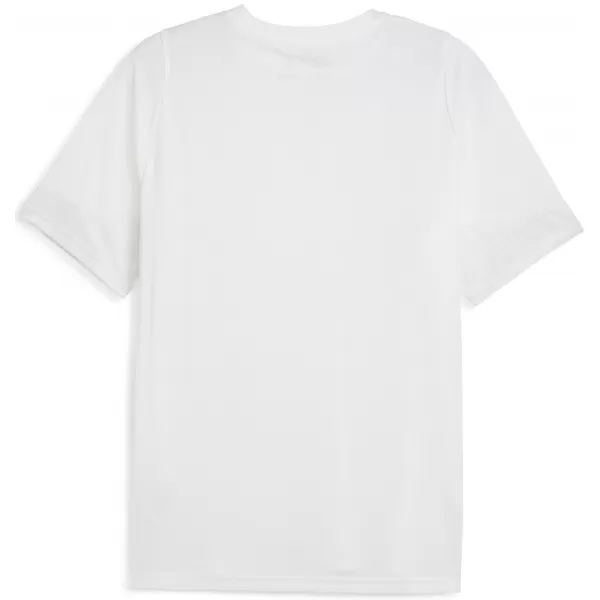  Muški dres PUMA TEAMCUP TRAINING JERSEY 659167_04 PUMA WHITE/PUMA SILVER 