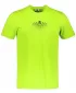 Muška pamučna majica ALTISPORT ALM148129 VAPNO