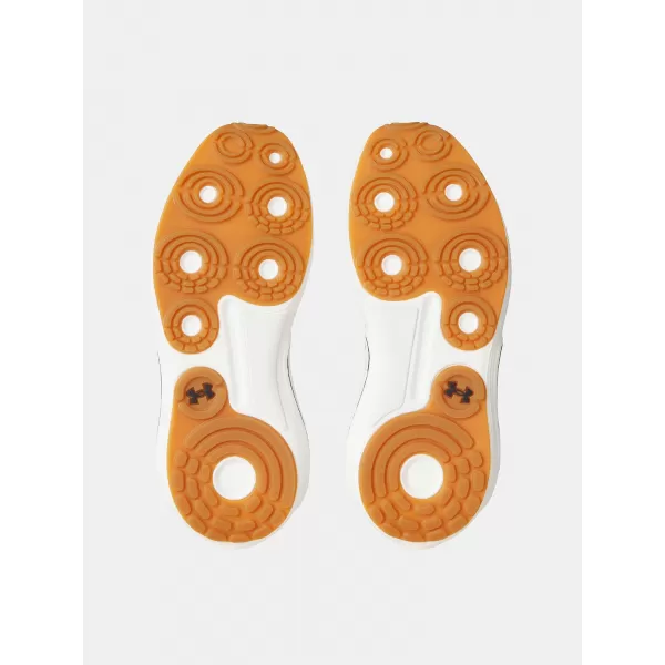  Muške cipele UNDER ARMOUR UA PHANTOM 4 3027593-289 SMEĐA 