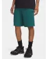 Muške kratke hlače UNDER ARMOUR UA RIVAL LW SHORTS 6009345-338 ZELENA