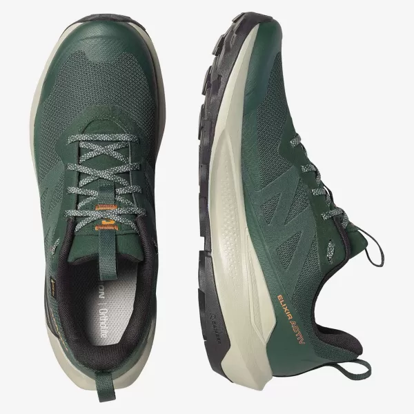  Muške cipele SALOMON ELIXIR ACTIV GTX L49229800 SKARABEJ/ZELENI ZABATI/ČILI 