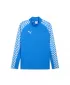 Muški sweatshirt PUMA TEAMLIGA26 TRG 1/4 ZIP TOP 659724_02 ELECTRO ROYAL/ ELEKTRO ROJAL/PUMA BIJELA