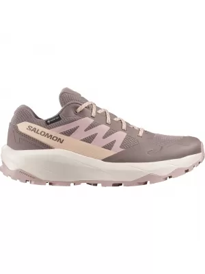 Ženske cipele SALOMON OUTSCAPE GTX W L49145200 ŽELJEZO/SLADOLED OD VANILIJE/KREMA OD BADEMA