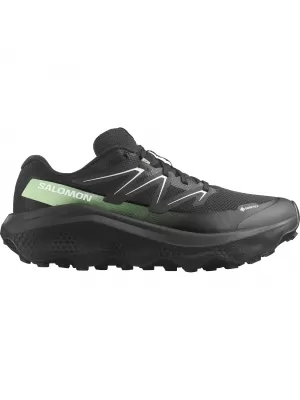 Muške cipele SALOMON ULTRA FLOW 2 GTX L47981400 CRNA/CRNA/PATINA ZELENA