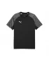 Muška majica kratkih rukava PUMA TEAMLIGA26 JERSEY 659721_03 PUMA CRNA/PUMA BIJELA