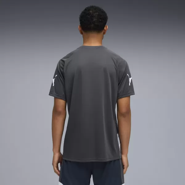  Funkcionalna muška majica PUMA INDIVIDUALLIGA GRAPH JERSEY 660578_02 MINERAL KOBALT/PARNO SIVA 