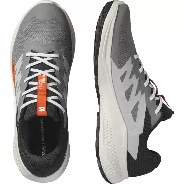  Muške cipele SALOMON ALPHAGLIDE GTX L47975300 CASTLEROCK/LUNAR ROCK/CHERRY RAJČICA 