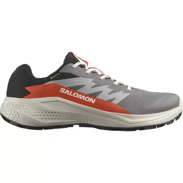  Muške cipele SALOMON ALPHAGLIDE GTX L47975300 CASTLEROCK/LUNAR ROCK/CHERRY RAJČICA 