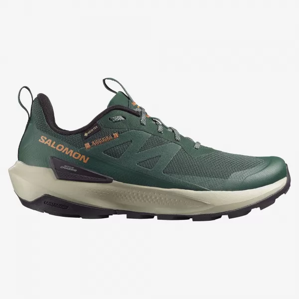  Muške cipele SALOMON ELIXIR ACTIV GTX L49229800 SKARABEJ/ZELENI ZABATI/ČILI 