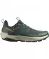 Muške cipele SALOMON ELIXIR ACTIV GTX L49229800 SKARABEJ/ZELENI ZABATI/ČILI