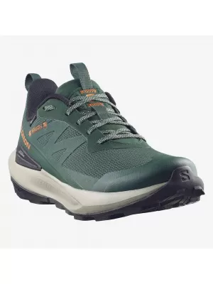 Muške cipele SALOMON ELIXIR ACTIV GTX L49229800 SKARABEJ/ZELENI ZABATI/ČILI