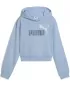 Dječji sweatshirt PUMA ESS 2 COLOR LOGO HOODIE 686072-48 VISOKI TROP