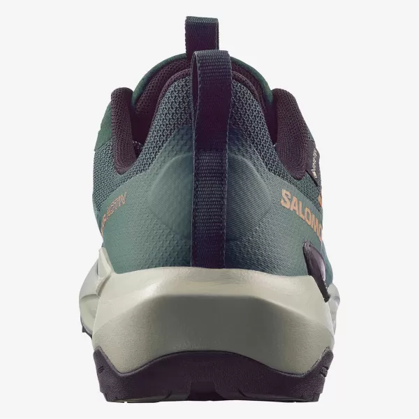  Muške cipele SALOMON ELIXIR ACTIV GTX L49229800 SKARABEJ/ZELENI ZABATI/ČILI 