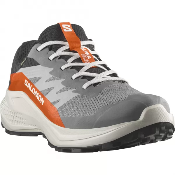  Muške cipele SALOMON ALPHAGLIDE GTX L47975300 CASTLEROCK/LUNAR ROCK/CHERRY RAJČICA 
