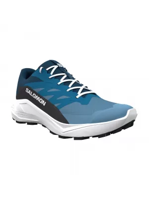 Muške cipele SALOMON ALPHAGLIDE L48000400 NIAGARA/MYKONOS PLAVO/GIBRALTARSKO MORE