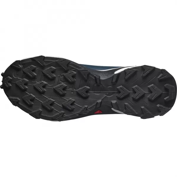  Muške cipele SALOMON SUPERCROSS 4 GORE-TEX L45447400 ZAČARANA/MJESEČEVA STIJENA/CRNA 