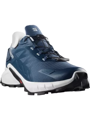 Muške cipele SALOMON SUPERCROSS 4 GORE-TEX L45447400 ZAČARANA/MJESEČEVA STIJENA/CRNA