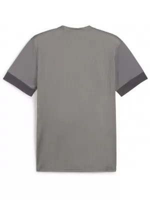 Muški dres PUMA TEAMGOAL MATCHDAY JERSEY 705747-13 LIJEVANO ŽELJEZO/BIJELA/SJENA SIVA