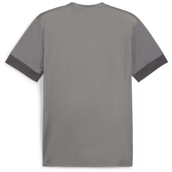  Muški dres PUMA TEAMGOAL MATCHDAY JERSEY 705747-13 LIJEVANO ŽELJEZO/BIJELA/SJENA SIVA 