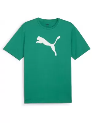 Muška majica kratkih rukava PUMA TEAMRISE LOGO JERSEY COTTON 658705-05 SPORT GREEN/ SPORT ZELENA/PUMA BIJELA