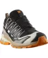 Muške cipele SALOMON XA PRO 3D V9 GORE-TEX L47881900 CRNI/LED OD VANILIJE/KURKUMA