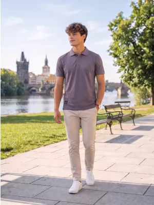 Muška majica s kragnom ALTISPORT NP/ALMST90601 ŠKRILJASTO SIVA