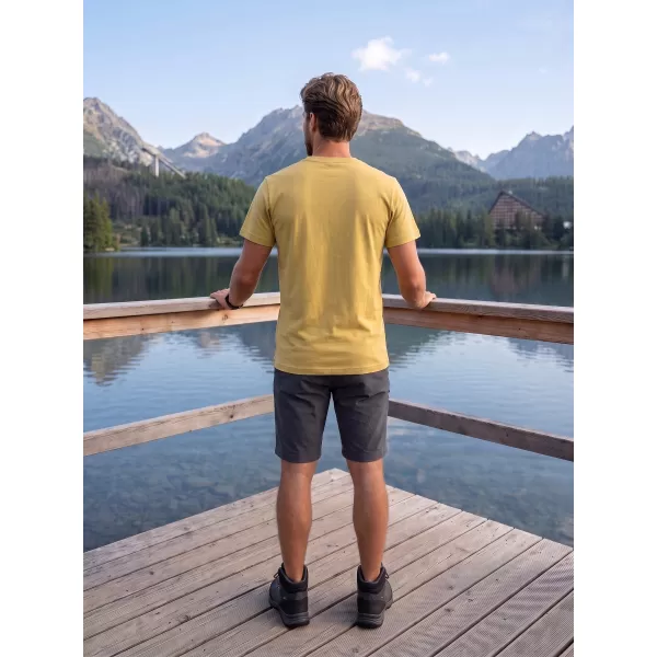  Muška majica kratkih rukava ALPINE PRO TERMES 4 JUŽNA MAHOVINA PC VARIJANTA 