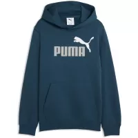 Plava