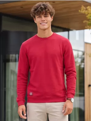 Muški sweatshirt ALTISPORT ICES TAMNOCRVENA