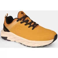 Žuta boja