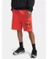 Muške kratke hlače UNDER ARMOUR RIVAL LW GRAPHIC SHORTS 6014689-690 CRVENA