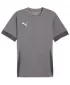 Muški dres PUMA TEAMGOAL MATCHDAY JERSEY 705747-13 LIJEVANO ŽELJEZO/BIJELA/SJENA SIVA