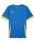 Muški dres PUMA TEAMGOAL MATCHDAY JERSEY 705747-16 E.BLU.LIMUNADA/BRŽE ŽUTA