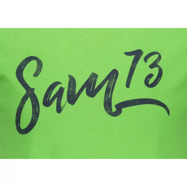  Tenk SAM 73 RYLAN MTSN387 ZELENA 