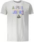 Košulja ALPINE PRO ABIC 7 MTSP404 SIVA