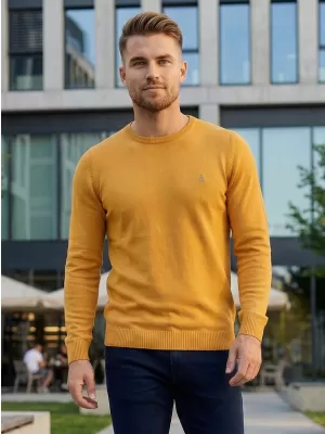 Muški pulover ALTISPORT KAMIQ MPLS096 ŽUTA BOJA