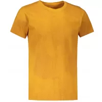Žuta boja