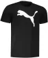 Muška majica kratkih rukava PUMA ACTIVE BIG LOGO TEE 586724-01 CRNA