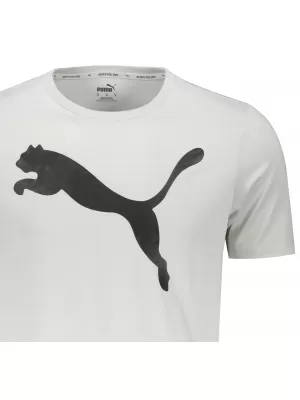 Muška majica kratkih rukava PUMA ACTIVE BIG LOGO TEE 586724-09 SIVA