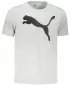 Muška majica kratkih rukava PUMA ACTIVE BIG LOGO TEE 586724-09 SIVA