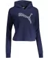 Ženski sweatshirt PUMA POWER SUMMER GRAPHIC HOODIE TR 848402-06 PLAVA