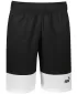 Muške kratke hlače PUMA POWER COLORBLOCK WOVEN SHORTS 9 848819-01 CRNA